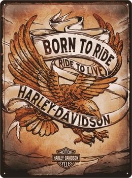 Harley Davidson born to ride eagle origineel metalen