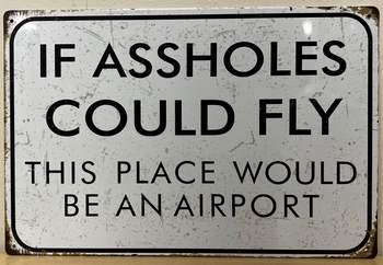 Assholes Could Fly Place would be an Airport  reclameb