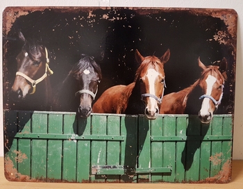 Paarden op stal metalen poster